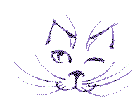 chat